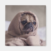 Cute Dog magnet 3 (Voorkant)