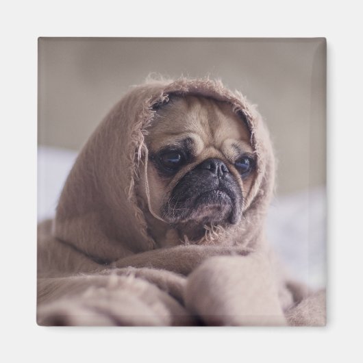 Cute Dog magnet 3 (Voorkant)