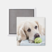 Cute Dog magnet 4 (Voorkant / Achterkant)
