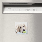 Cute Dog magnet 4 (Insitu (Vaatwasser))