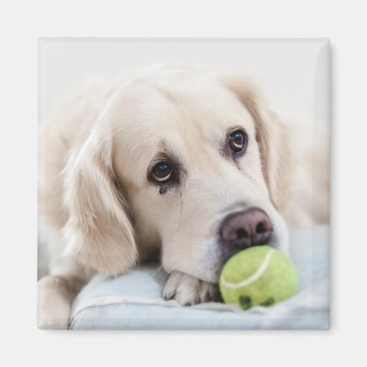 Cute Dog magnet 4 (Voorkant)