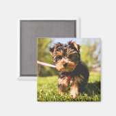Cute Dog magnet 5 (Voorkant / Achterkant)