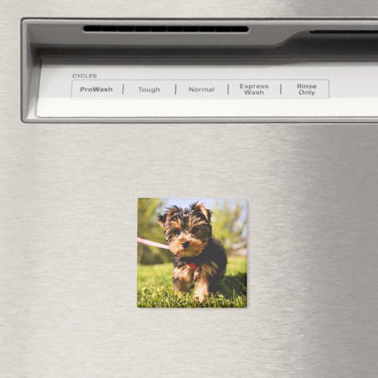 Cute Dog magnet 5 (Insitu (Vaatwasser))