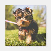Cute Dog magnet 5 (Voorkant)