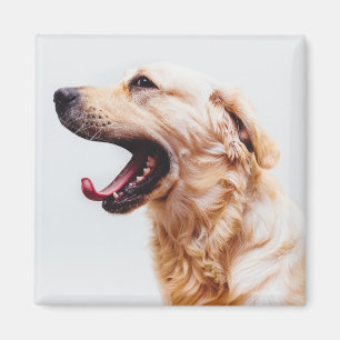 Cute Dog magnet 6