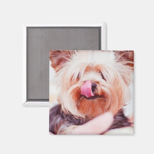 Cute Dog magnet 8 (Voorkant / Achterkant)