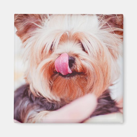 Cute Dog magnet 8 (Voorkant)