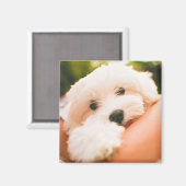 Cute Dog magnet 9 (Voorkant / Achterkant)