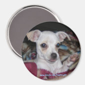 Cute Dog-Magnet. Magneet (Voorkant / Achterkant)