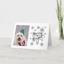 Cute Dog Maltese Bichon-kerstKaart
