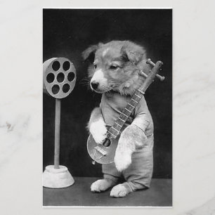 Cute  Dog met banjo foto art, zwart wit Briefpapier