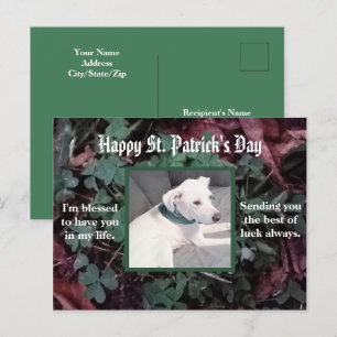 Cute Dog met groene scharnierstenen Briefkaart