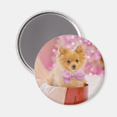 Cute Dog met Roze Bow-kerstfoto Magneet (Voorkant / Achterkant)