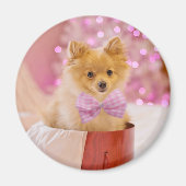 Cute Dog met Roze Bow-kerstfoto Magneet (Voorkant)