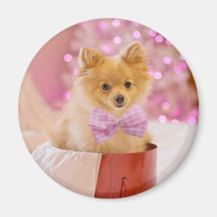 Cute Dog met Roze Bow-kerstfoto Magneet