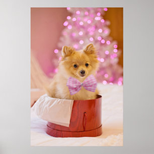Cute Dog met Roze Bow-kerstfoto Poster