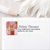 Cute Dog met roze kerstfoto's Etiket (Insitu)