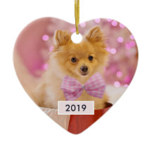 Cute Dog met roze kerstfoto's