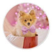 Cute Dog met roze kerstfoto's Keramische Knop (Voorkant)