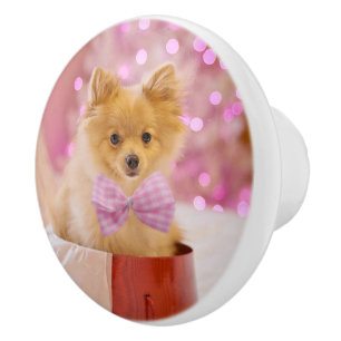 Cute Dog met roze kerstfoto's Keramische Knop