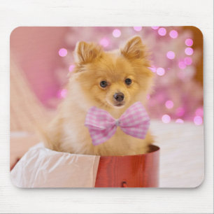 Cute Dog met roze kerstfoto's Muismat