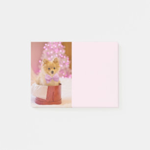 Cute Dog met roze kerstfoto's Post-it® Notes