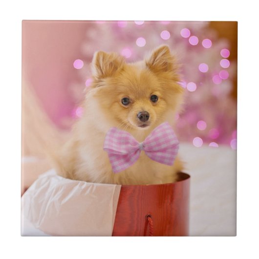 Cute Dog met roze kerstfoto's Tegeltje (Voorkant)