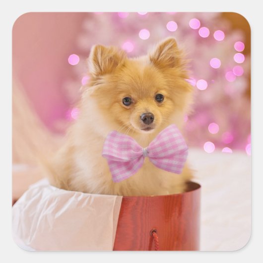 Cute Dog met roze kerstfoto's Vierkante Sticker (Voorkant)
