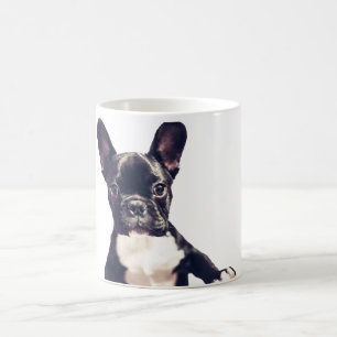 Cute Dog Mokken