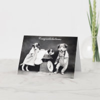 Cute  Dog New Baby Gefeliciteerd