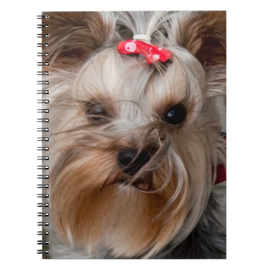Cute dog notitieboek (Voorkant)