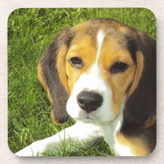 Cute Dog Onderzetter (Voorkant)