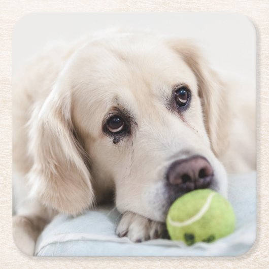 Cute Dog onderzetters 7 (Voorkant)