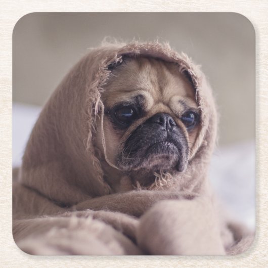 Cute Dog onderzetters 8 (Voorkant)