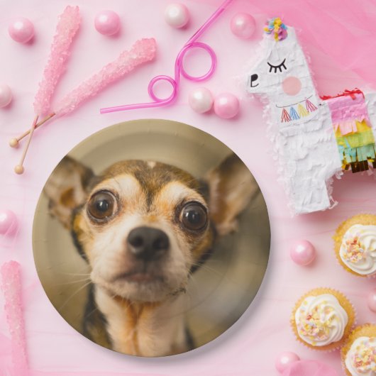 Cute Dog paper borden 10 Papieren Bordje (Feest)