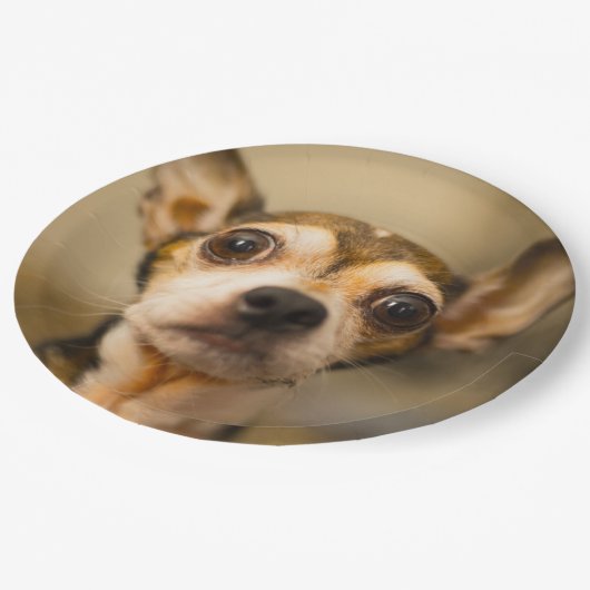 Cute Dog paper borden 10 Papieren Bordje (Gekanteld)