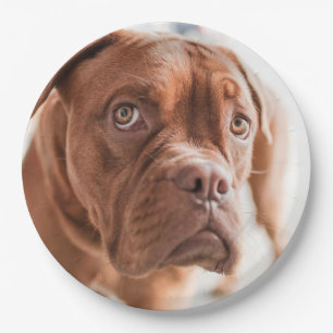 Cute Dog paper borden 6 Papieren Bordje