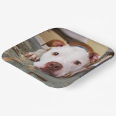 Cute Dog Papieren Bordje (Gebogen)