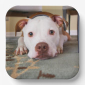 Cute Dog Papieren Bordje (Voorkant)