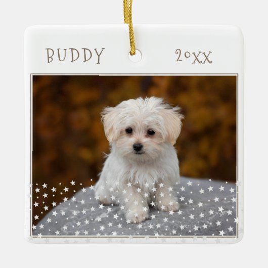 Cute Dog Pet 2 Foto's Star Pattern Kerstmis Keramisch Ornament (Voorkant)