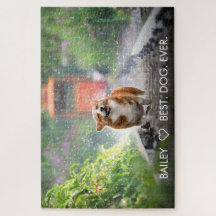 Cute Dog Pet Foto Aangepaste Aangepaste Aangepaste