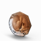 Cute Dog Pet Fotonaam Pawprint Gemstone Fotoblokken (Rechts)