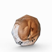 Cute Dog Pet Fotonaam Pawprint Gemstone Fotoblokken (Links)