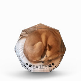 Cute Dog Pet Fotonaam Pawprint Gemstone Fotoblokken
