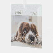 Cute Dog Pet Photo Star Pattern Kerstmis Glas Ornament (Voorkant links)