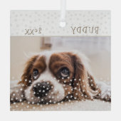Cute Dog Pet Photo Star Pattern Kerstmis Glas Ornament (Achterkant)