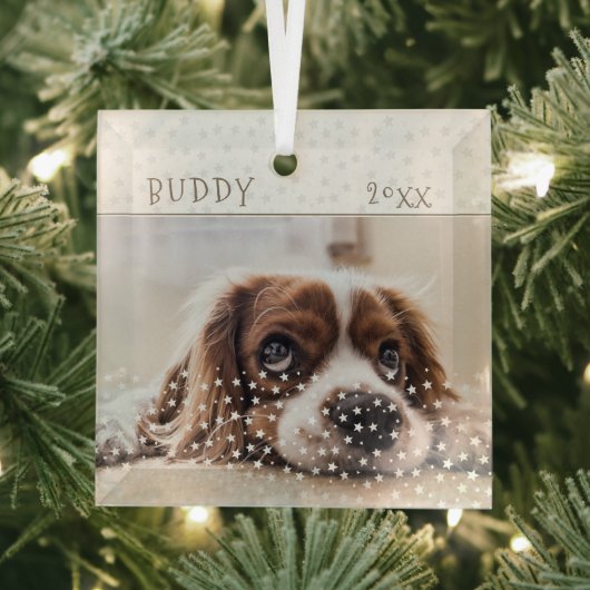 Cute Dog Pet Photo Star Pattern Kerstmis Glas Ornament (Insitu)
