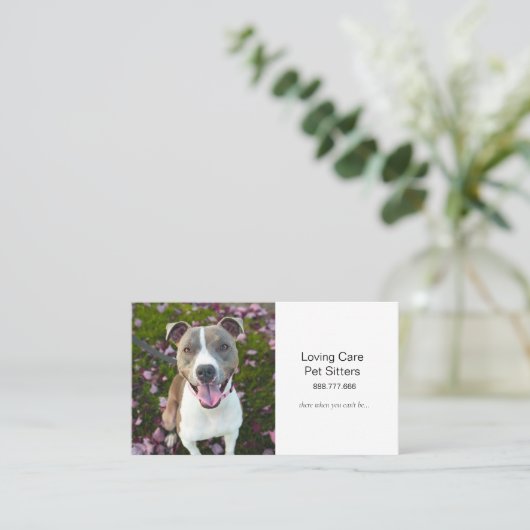Cute Dog Pet Sitting and Services Visitekaartje (Staand voorkant)
