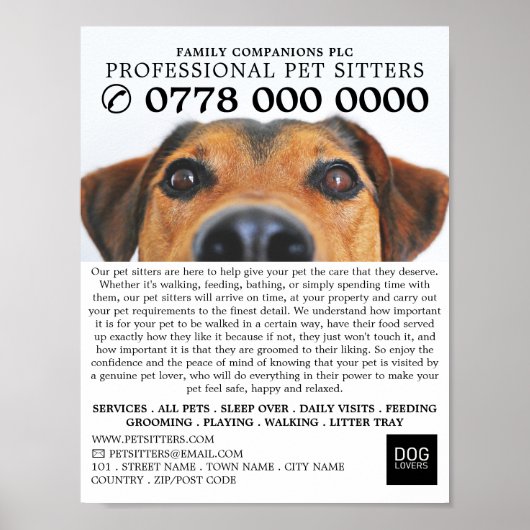 Cute Dog, Pet Sitting Service Adverteren Poster (Voorkant)