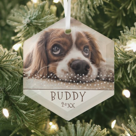 Cute Dog Pet White Stars Kerstmis Glas Ornament (Insitu)